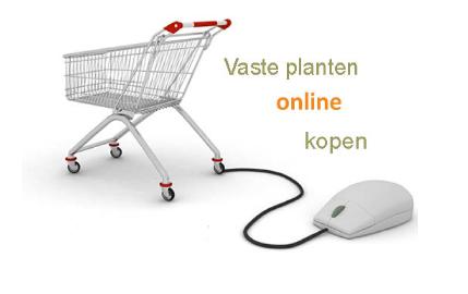 winkelwagentjevasteplantenonlineshoppig