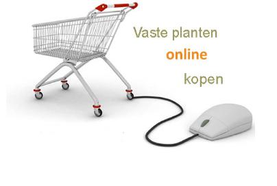 winkelwagentjevasteplantenonlineshoppig