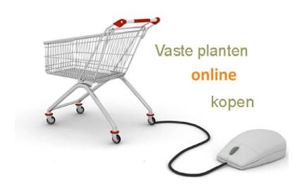 winkelwagentjevasteplantenonlineshoppig