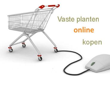 winkelwagentjevasteplantenonlineshoppig