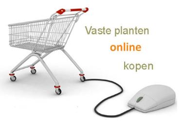 winkelwagentjevasteplantenonlineshoppig