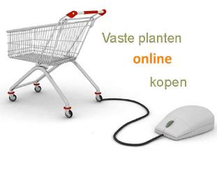 winkelwagentjevasteplantenonlineshoppig