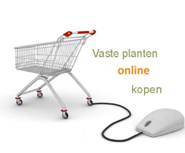 winkelwagentjevasteplantenonlineshoppig