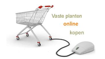 winkelwagentjevasteplantenonlineshoppig