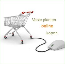 winkelwagentjevasteplantenonlineshoppig