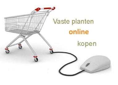 winkelwagentjevasteplantenonlineshoppig