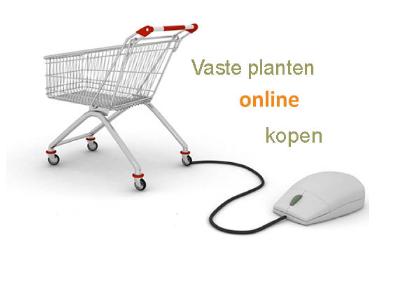 winkelwagentjevasteplantenonlineshoppig