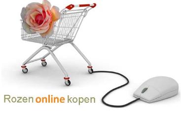 Rozenonlinekopen