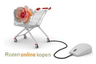 Rozenonlinekopen